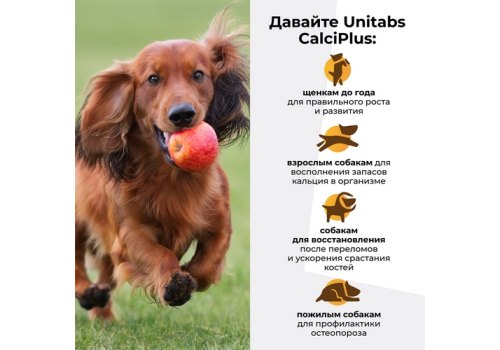 Unitabs CalciPlus с Q10 / Витаминно-минеральный комплекс Юнитабс для собак Кальций, Фосфор, витамин Д
