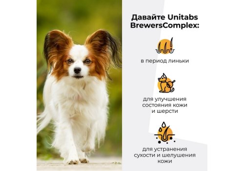 Unitabs BrewersComplex с Q10 / Витаминно-минеральный комплекс Юнитабс для Мелких собак с Пивными дрожжами Unitabs BrewersComplex с Q10 / Витаминно-минеральный комплекс Юнитабс для Мелких собак с Пивными дрожжами