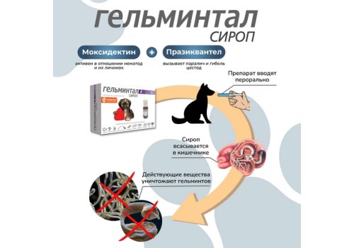 Гельминтал / Сироп от Гельминтов для Щенков и собак весом до 10 кг