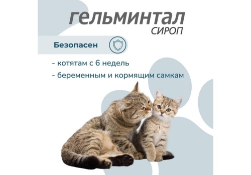 Гельминтал / Сироп от Гельминтов для Котят и кошек весом до 4 кг