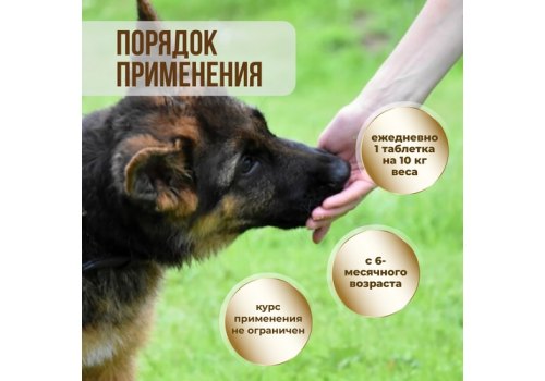 Unitabs BrewersComplex с Q10 / Витаминно-минеральный комплекс Юнитабс для Крупных собак с Пивными дрожжами