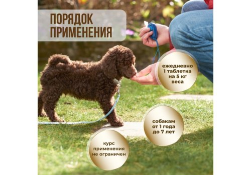 Unitabs ImmunoComplex с Q10 / Витаминно-минеральный комплекс Юнитабс для Мелких собак