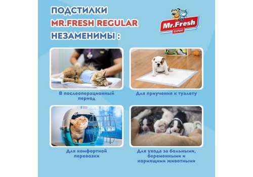 Mr.Fresh Expert Regular / Подстилки Мистер Фреш Гелевые впитывающие с Липкими фиксаторами Mr.Fresh Expert Regular / Подстилки Мистер Фреш Гелевые впитывающие с Липкими фиксаторами