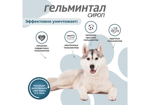 Гельминтал / Сироп от Гельминтов для собак весом более 10 кг