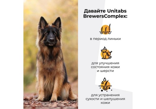 Unitabs BrewersComplex с Q10 / Витаминно-минеральный комплекс Юнитабс для Крупных собак с Пивными дрожжами