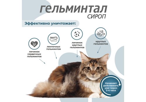 Гельминтал / Сироп от Гельминтов для кошек весом более 4 кг