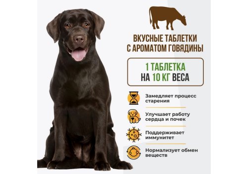 Unitabs Senior Complex UT c Q10 / Витаминно-минеральный комплекс Юнитабс для Пожилых собак старше 7 лет