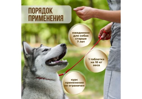 Unitabs Senior Complex UT c Q10 / Витаминно-минеральный комплекс Юнитабс для Пожилых собак старше 7 лет