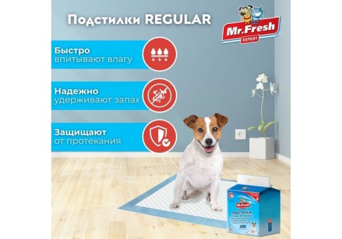 Mr.Fresh Expert Regular / Подстилки Мистер Фреш Гелевые впитывающие с Липкими фиксаторами Mr.Fresh Expert Regular / Подстилки Мистер Фреш Гелевые впитывающие с Липкими фиксаторами