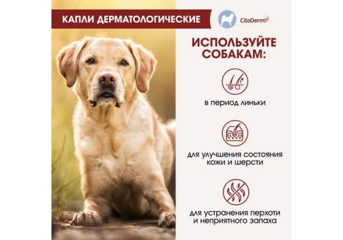 CitoDerm / Капли Цитодерм Дерматологические для собак весом 10-30 кг
