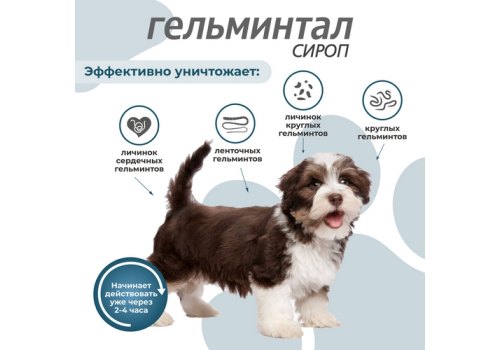 Гельминтал / Сироп от Гельминтов для Щенков и собак весом до 10 кг