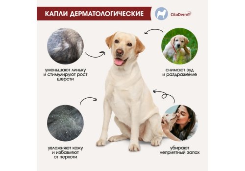 CitoDerm / Капли Цитодерм Дерматологические для собак весом 30-60 кг