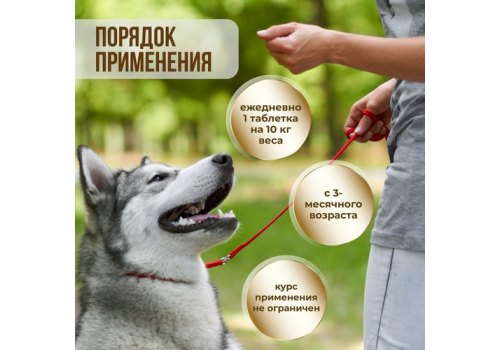 Unitabs ArthroActive c Q10 / Витаминно-минеральный комплекс Юнитабс для собак при болезнях Суставов