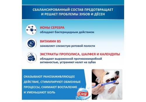 Cliny / Зубной гель Клини с ионами Серебра