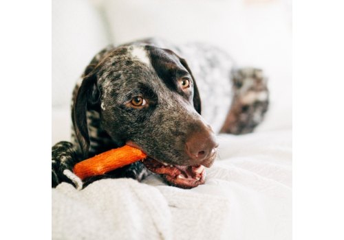 Petstages Mesquite Dogwood / Игрушка Петстейджес для собак с ароматом Барбекю