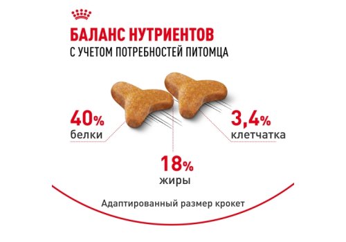 Royal Canin Breed cat Bengal / Сухой корм Роял Канин для Бенгальских кошек старше 1 года