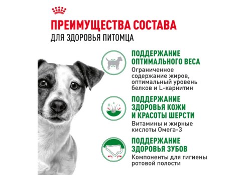 Royal Canin Mini Adult / Сухой корм Роял Канин Мини Эдалт для взрослых собак Мелких пород в возрасте от 10 месяцев до 8 лет