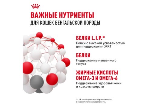 Royal Canin Breed cat Bengal / Сухой корм Роял Канин для Бенгальских кошек старше 1 года