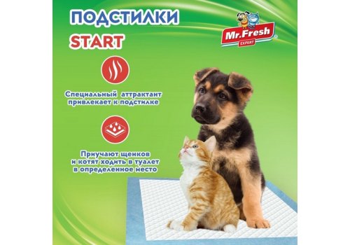 Mr.Fresh Expert Start / Подстилки Мистер Фреш Ежедневные для Приучения к месту Гелевые с Липкими фиксаторами