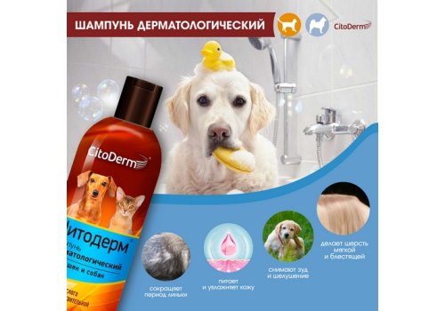 CitoDerm / Шампунь Цитодерм для кошек и собак с Чувствительной кожей Дерматологический CitoDerm / Шампунь Цитодерм для кошек и собак с Чувствительной кожей Дерматологический