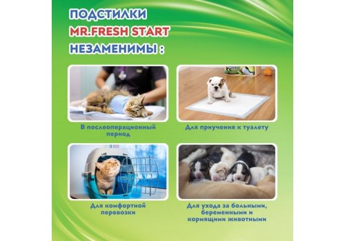 Mr.Fresh Expert Start / Подстилки Мистер Фреш Ежедневные для Приучения к месту Гелевые с Липкими фиксаторами