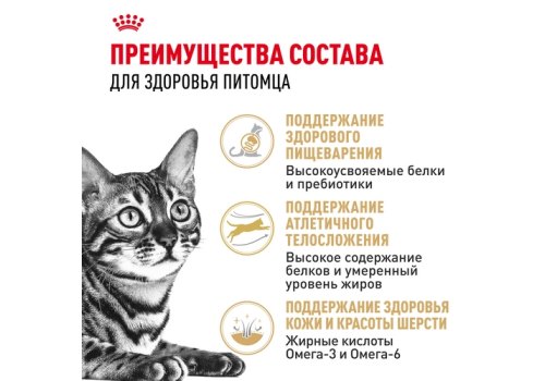 Royal Canin Breed cat Bengal / Сухой корм Роял Канин для Бенгальских кошек старше 1 года