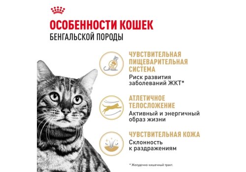 Royal Canin Breed cat Bengal / Сухой корм Роял Канин для Бенгальских кошек старше 1 года