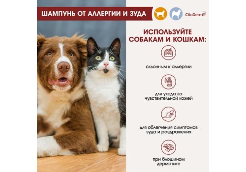 CitoDerm / Шампунь Цитодерм для кошек и собак от Аллергии и Зуда