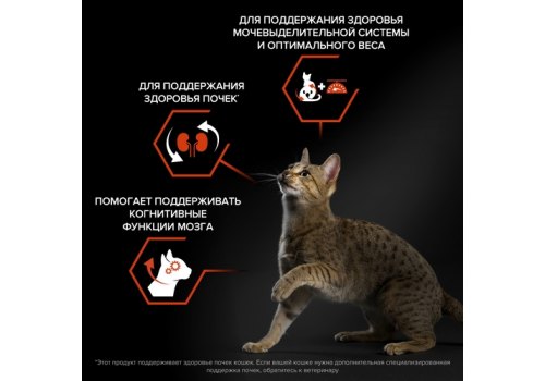 PRO PLAN STERILISED / Сухой корм ПРО ПЛАН для взрослых кошек для поддержания органов чувств у стерилизованных с лососем