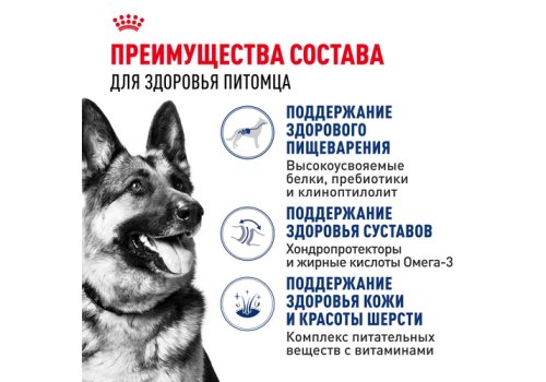 Royal Canin Maxi Adult / Сухой корм Роял Канин Макси Эдалт для Взрослых собак Крупных пород в возрасте от 15 месяцев до 5 лет