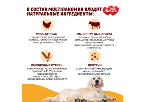 Multi Лакомки / Витаминное лакомство Мульти Лакомки для собак Активный питомец
