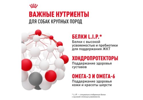 Royal Canin Maxi Adult / Сухой корм Роял Канин Макси Эдалт для Взрослых собак Крупных пород в возрасте от 15 месяцев до 5 лет