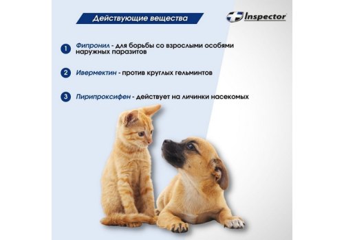 Inspector Collar / Ошейник Инспектор против Внешних и Внутренних паразитов для кошек и Мелких собак