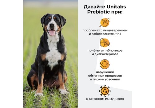 Unitabs Prebiotic / Кормовая добавка Юнитабс для кошек и собак Оптимизация пищеварения