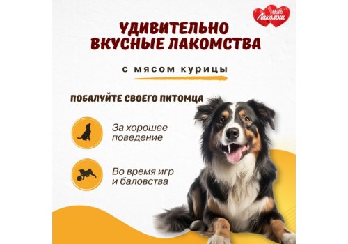 Multi Лакомки / Витаминное лакомство Мульти Лакомки для собак Активный питомец