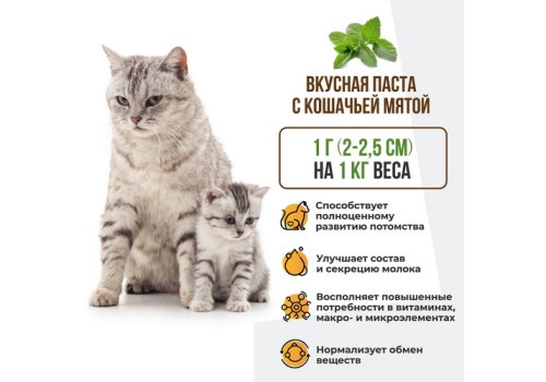 Unitabs Mama+Kitty paste / Витаминно-минеральная паста Юнитабс для Котят и беременных и кормящих кошек c Фолиевой кислотой