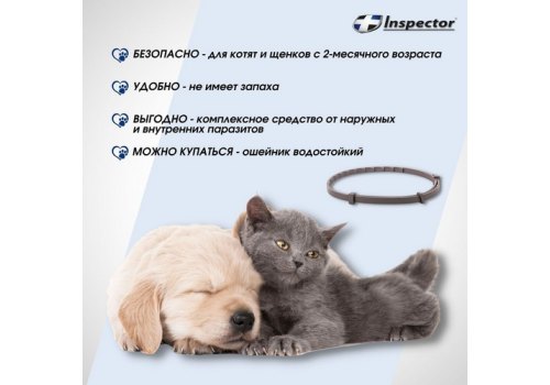 Inspector Collar / Ошейник Инспектор против Внешних и Внутренних паразитов для кошек и Мелких собак