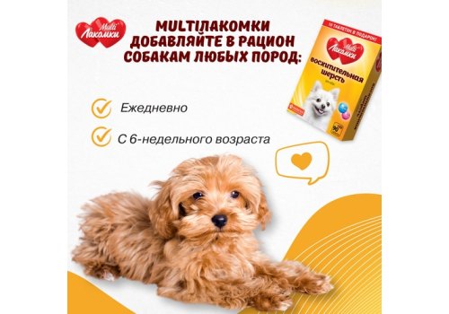 Multi Лакомки / Витаминное лакомство Мульти Лакомки для собак Восхитительная шерсть
