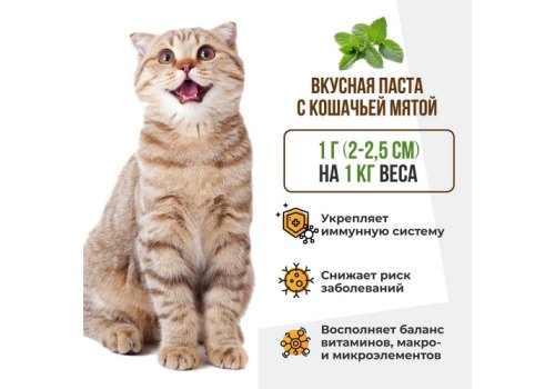 Unitabs ImmunoCat с Q10 paste / Витаминно-минеральная паста Юнитабс для кошек с Таурином