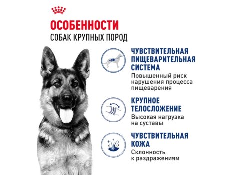 Royal Canin Maxi Adult / Сухой корм Роял Канин Макси Эдалт для Взрослых собак Крупных пород в возрасте от 15 месяцев до 5 лет