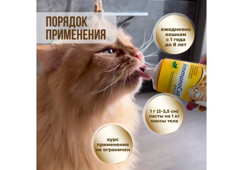 Unitabs ImmunoCat с Q10 paste / Витаминно-минеральная паста Юнитабс для кошек с Таурином