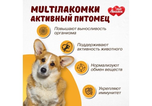 Multi Лакомки / Витаминное лакомство Мульти Лакомки для собак Активный питомец