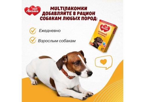 Multi Лакомки / Витаминное лакомство Мульти Лакомки для собак Активный питомец