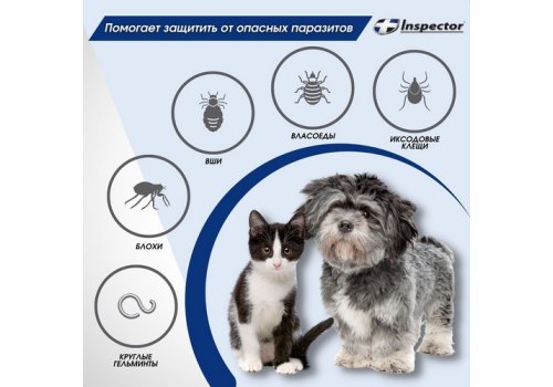 Inspector Collar / Ошейник Инспектор против Внешних и Внутренних паразитов для кошек и Мелких собак
