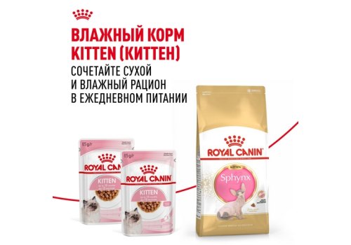 Royal Canin Breed cat Kitten Sphynx / Сухой корм Роял Канин для Котят породы Сфинкс в возрасте до 12 месяцев