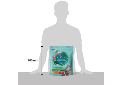 PURINA ONE SUPERFOOD / Сухой корм Пурина УАН для взрослых стерилизованных кошек с говядиной