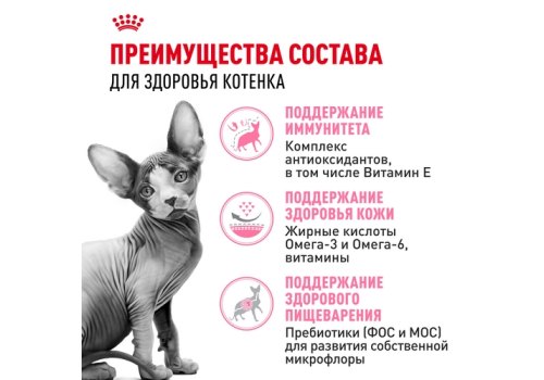 Royal Canin Breed cat Kitten Sphynx / Сухой корм Роял Канин для Котят породы Сфинкс в возрасте до 12 месяцев