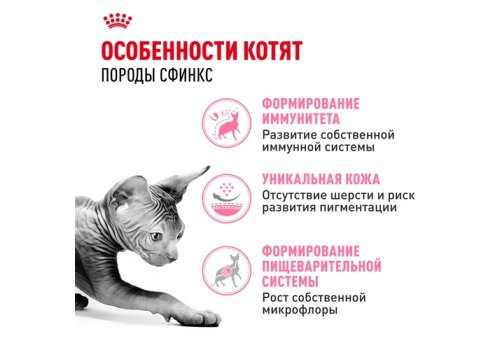 Royal Canin Breed cat Kitten Sphynx / Сухой корм Роял Канин для Котят породы Сфинкс в возрасте до 12 месяцев