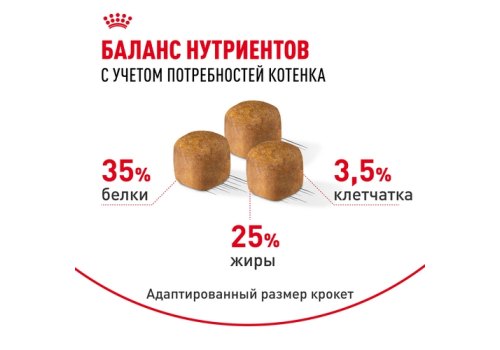 Royal Canin Breed cat Kitten Sphynx / Сухой корм Роял Канин для Котят породы Сфинкс в возрасте до 12 месяцев