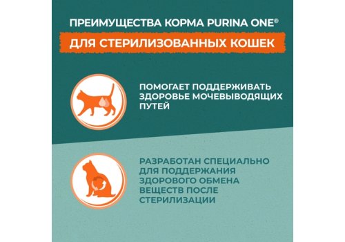 PURINA ONE SUPERFOOD / Сухой корм Пурина УАН для взрослых стерилизованных кошек с говядиной